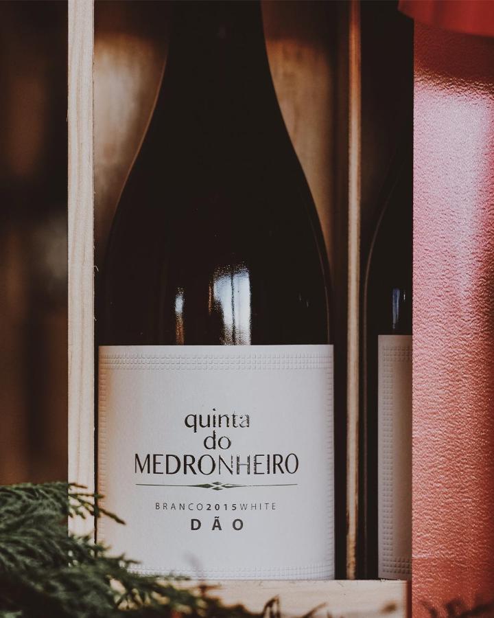 Quinta Do Medronheiro Hotel Rural Viseu Ngoại thất bức ảnh