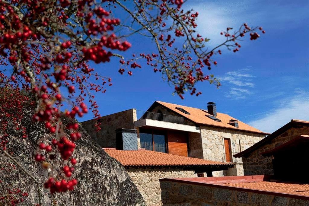 Quinta Do Medronheiro Hotel Rural Viseu Ngoại thất bức ảnh
