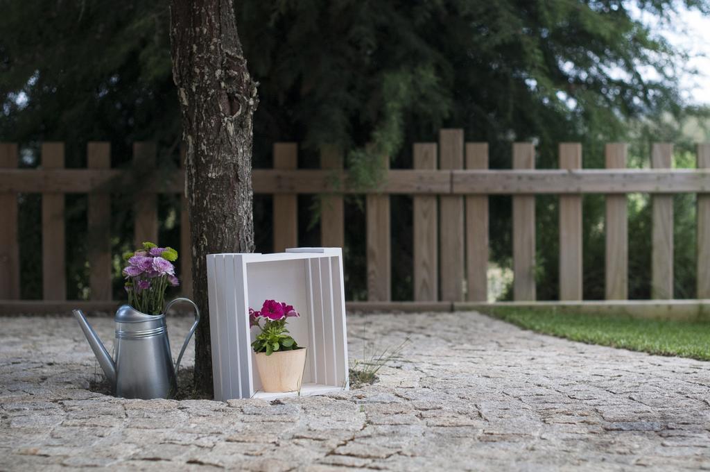 Quinta Do Medronheiro Hotel Rural Viseu Ngoại thất bức ảnh
